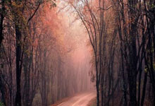 苏格兰队员发挥出色，取得晋级资格