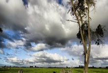 球队晋级，晋级之路充满荆棘