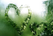 意甲赛场风云再起,球队战绩蒸蒸日上