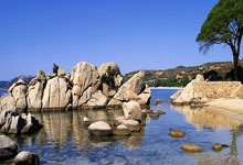 经验积累的重要性，成功之路终见曙光