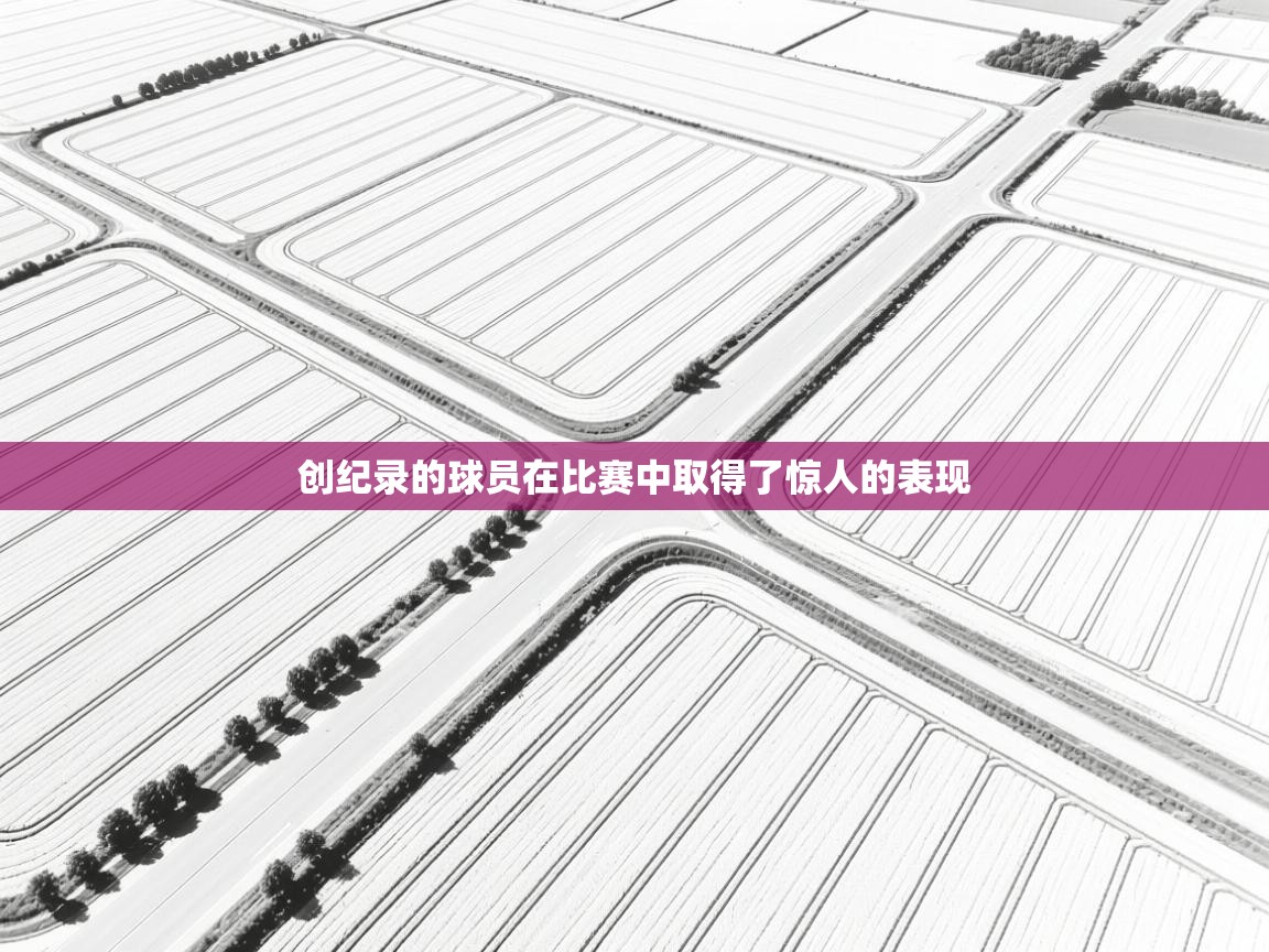 创纪录的球员在比赛中取得了惊人的表现  第2张