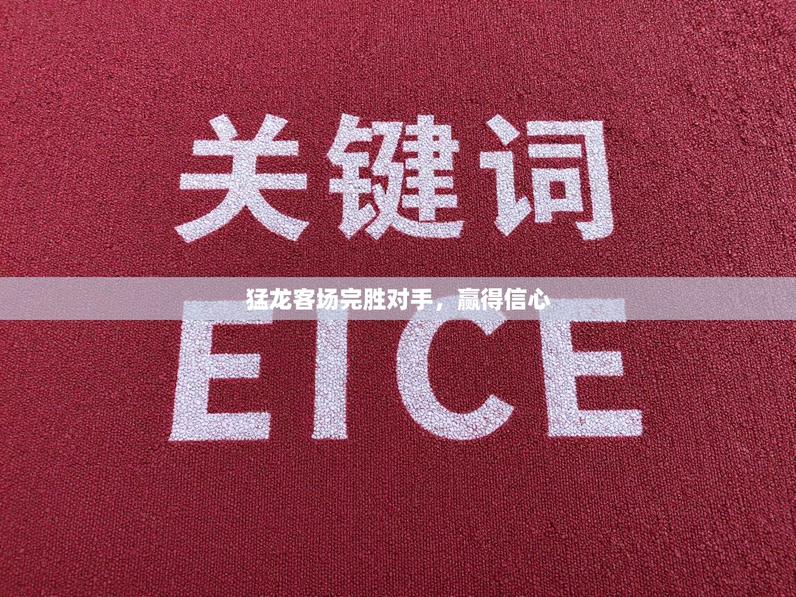 猛龙客场完胜对手，赢得信心  第2张