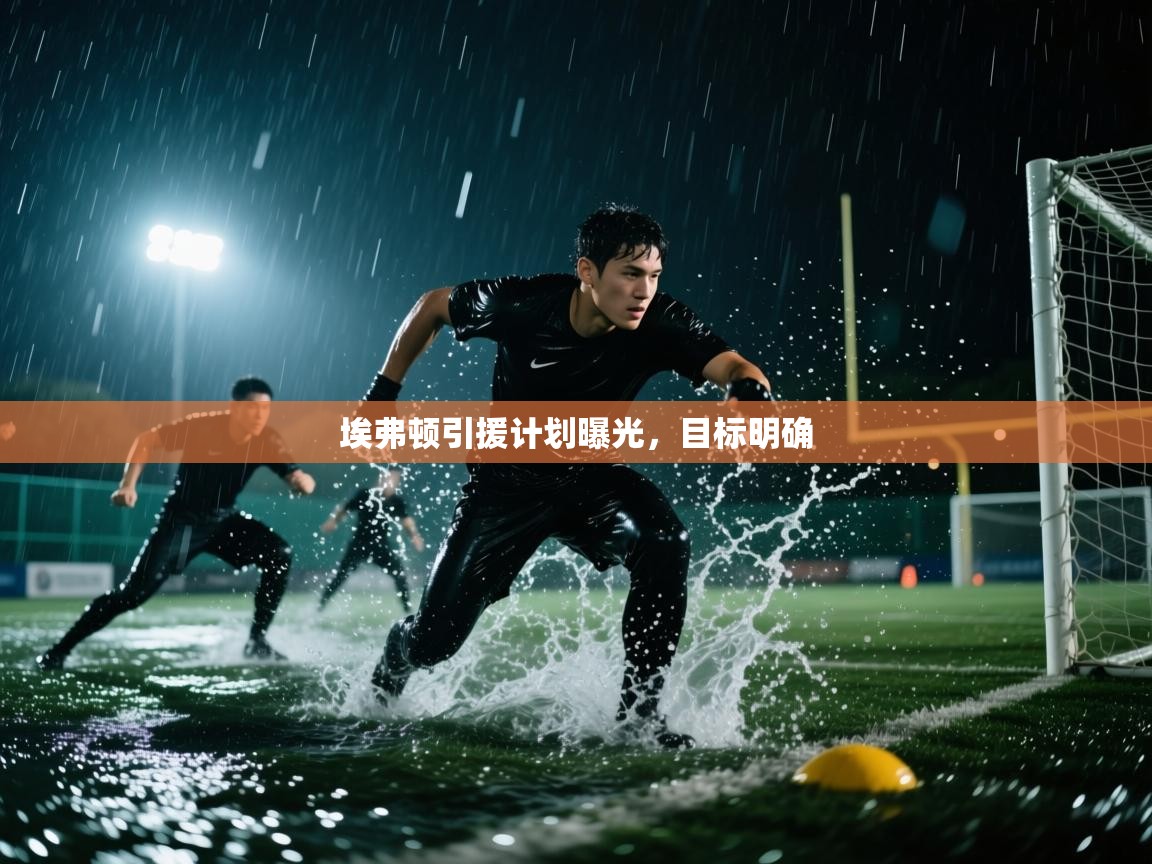埃弗顿引援计划曝光，目标明确