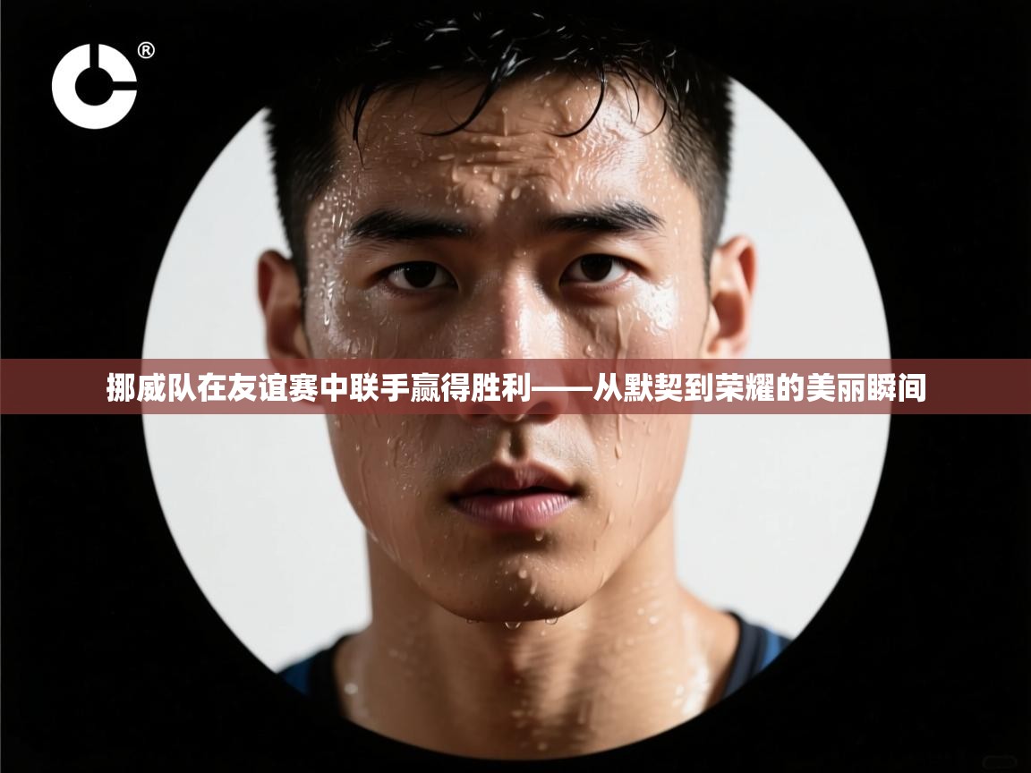 挪威队在友谊赛中联手赢得胜利——从默契到荣耀的美丽瞬间  第1张