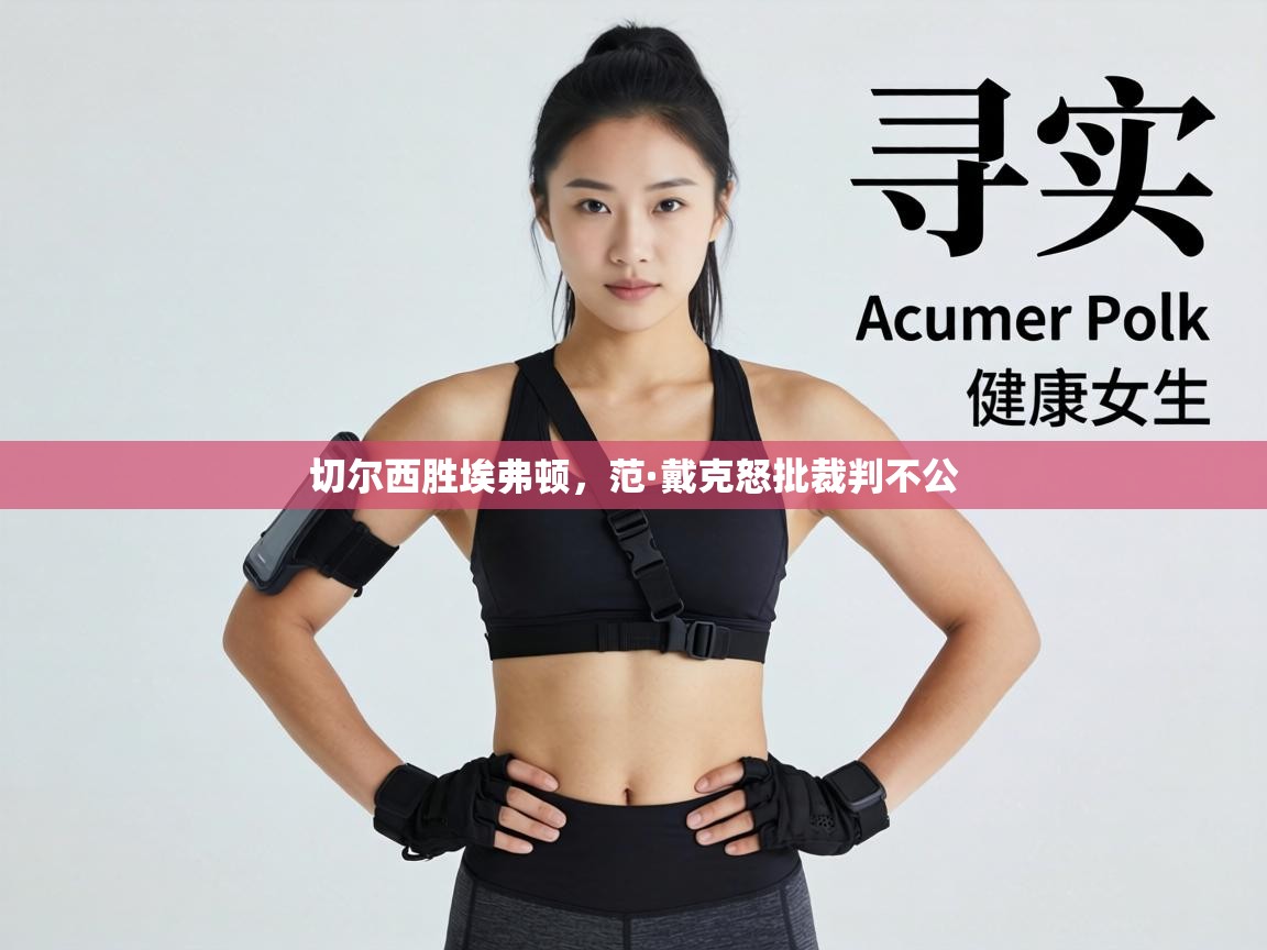 切尔西胜埃弗顿，范·戴克怒批裁判不公  第1张